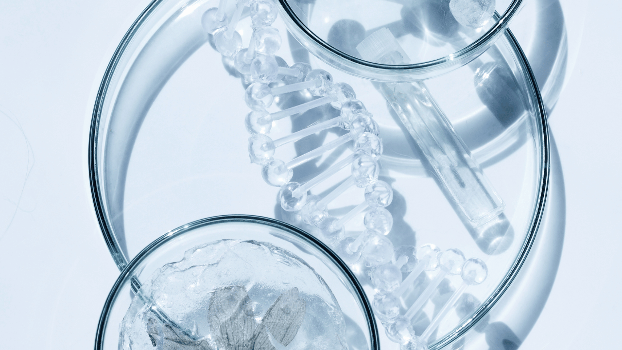 Research activity image 1